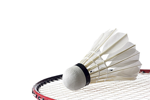 从名场面中 从名场面中